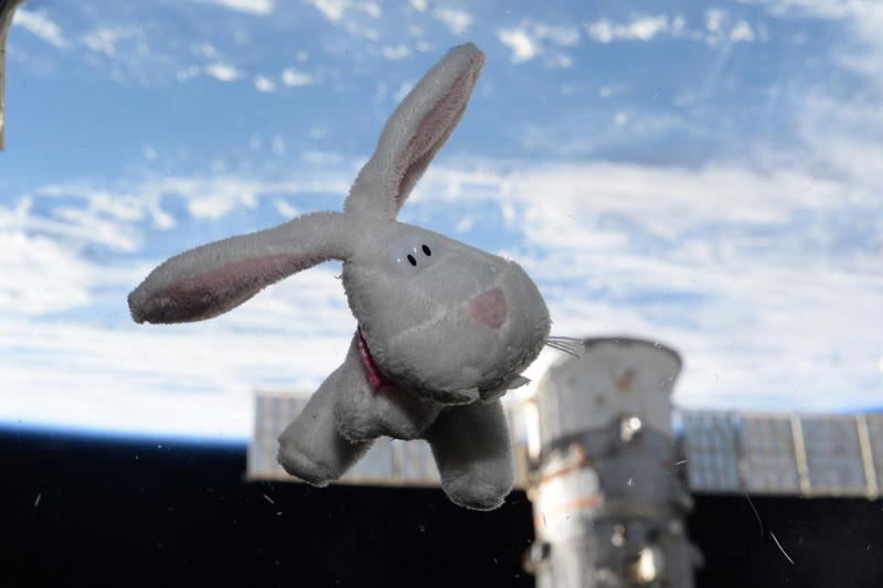 Illustration for article titled 51 Favourite Photos from Astronaut Scott Kelly's First Six Months in Space